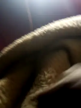 Snapshot of jodezww chatting on March 1, 2026, 8:47 am jodezww online show from March 1, 2026, 8:47 am