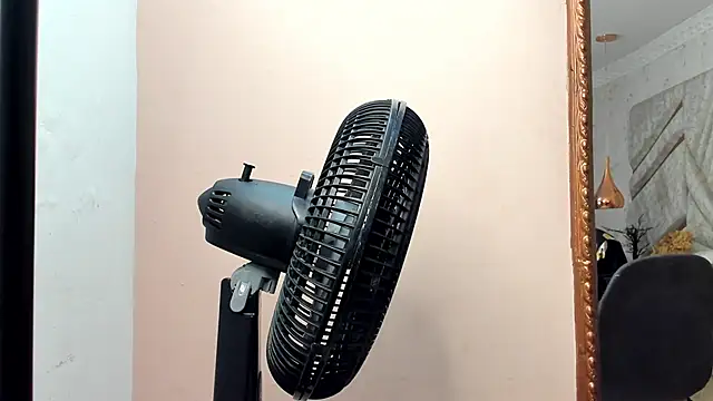 Snapshot of CloheBell chatting on February 16, 2026, 11:31 am CloheBell online show from February 16, 2026, 11:31 am