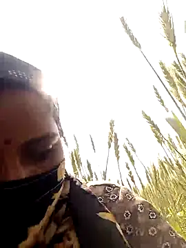 Pallavi hote online show from February 17, 2026, 5:27 am