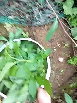 Snapshot of Girl-crazy1 chatting on March 9, 2026, 9:35 am Girl-crazy1 online show from March 9, 2026, 9:35 am