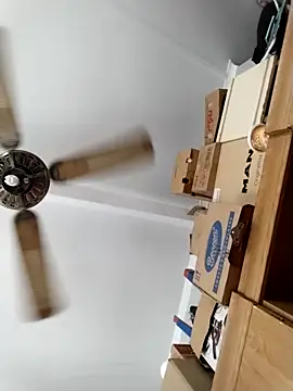 Baby P online show from April 14, 2026, 10:53 am