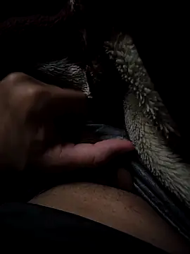 MoMnsi online show from February 25, 2026, 6:02 am