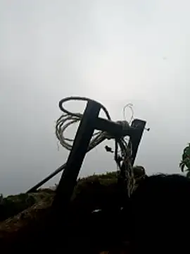 nelina 12345 online show from April 16, 2026, 11:22 am