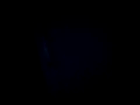 dustbunny64 online show from March 28, 2026, 8:04 am