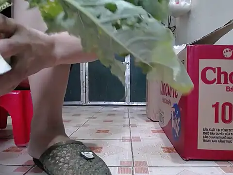 Snapshot of Maila88 chatting on February 18, 2026, 12:52 am Maila88 online show from February 18, 2026, 12:52 am