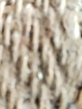 SONY BABY online show from April 2, 2026, 3:24 am