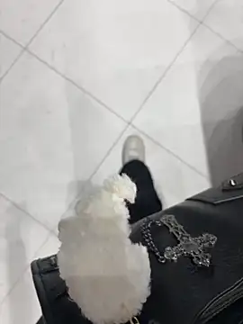 Sexy lissaa online show from March 31, 2026, 10:39 am