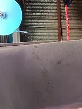 taniya0 online show from April 14, 2026, 6:07 am