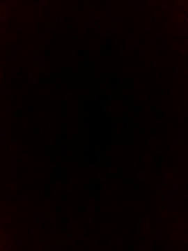 falcon2589 online show from February 25, 2026, 1:06 am