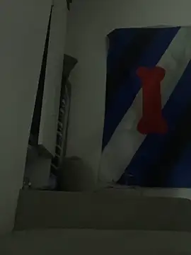 Snapshot of Kingbroxxx chatting on March 20, 2026, 4:24 am Kingbroxxx online show from March 20, 2026, 4:24 am