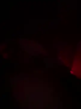 Snapshot of shark822 chatting on March 2, 2026, 8:27 pm shark822 online show from March 2, 2026, 8:27 pm