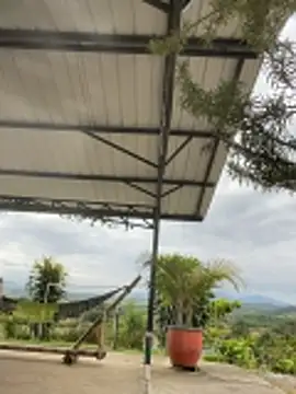 Fresh terry  online show from March 23, 2026, 2:06 pm