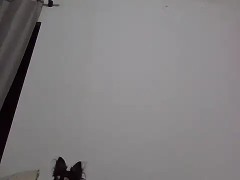 Snapshot of machodotado97 chatting on March 2, 2026, 5:41 am machodotado97 online show from March 2, 2026, 5:41 am