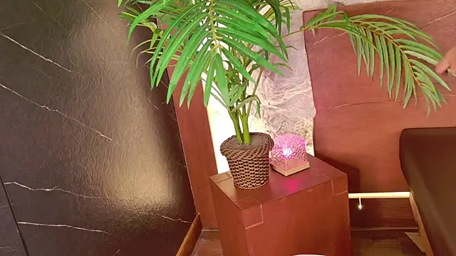 Snapshot of Rolyloren_ chatting on February 24, 2026, 4:08 pm Rolyloren online show from February 24, 2026, 4:08 pm