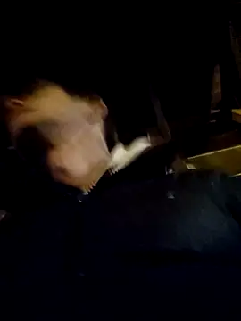 DlaNiej online show from February 26, 2026, 6:30 pm