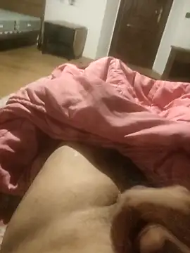 Snapshot of alexandrevictor6969 chatting on February 27, 2026, 9:14 pm alexandrevictor6969 online show from February 27, 2026, 9:14 pm