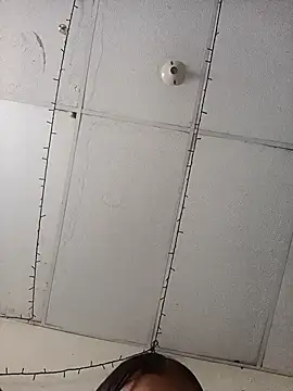 Snapshot of lunagamers chatting on February 19, 2026, 7:33 pm lunagamers online show from February 19, 2026, 7:33 pm