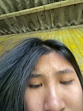 Snapshot of -Havuta- chatting on February 21, 2026, 3:41 am -Havuta- online show from February 21, 2026, 3:41 am