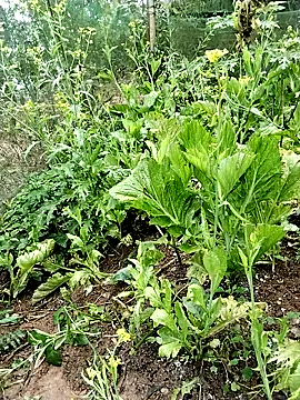 Snapshot of ngocbao11 chatting on February 26, 2026, 1:05 am ngocbao11 online show from February 26, 2026, 1:05 am