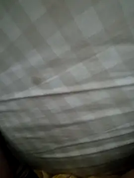 Snapshot of Edu235 chatting on March 23, 2026, 2:33 am Edu235 online show from March 23, 2026, 2:33 am