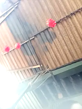 Anna Bellam online show from February 26, 2026, 8:36 am