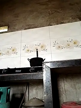 elen8800 online show from April 21, 2026, 3:35 am