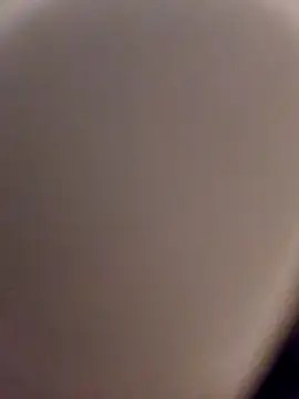 skynct2007 online show from February 24, 2026, 5:41 am