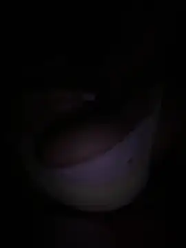 Kiara XOX online show from February 24, 2026, 2:45 am