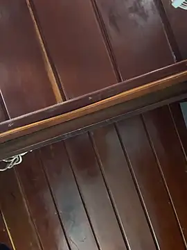 Slvbot202 online show from February 25, 2026, 12:49 pm