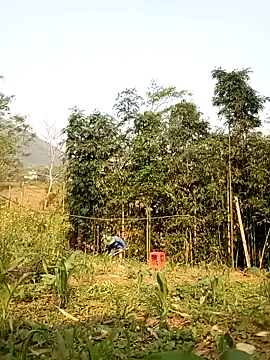 lyly sexx online show from April 7, 2026, 12:56 am