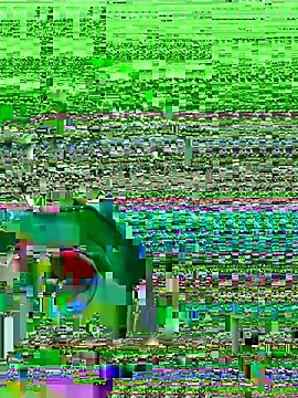 midsize 94 online show from February 26, 2026, 3:39 am