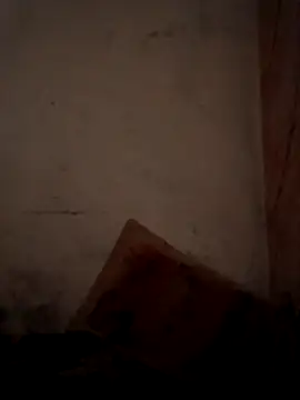 Snapshot of CoralN chatting on April 1, 2026, 3:52 am CoralN online show from April 1, 2026, 3:52 am