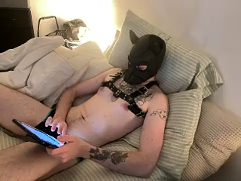 Snapshot of BraxtonArcher01 chatting on March 22, 2026, 4:08 pm BraxtonArcher01 online show from March 22, 2026, 4:08 pm