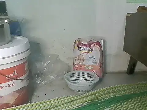 Fish sexy online show from March 28, 2026, 9:10 am