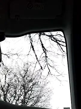 lui8181 online show from March 11, 2026, 5:40 pm