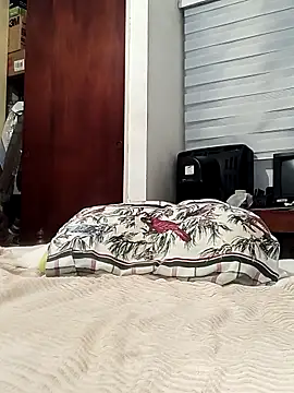 davidalejandrocastillo online show from February 27, 2026, 6:35 am