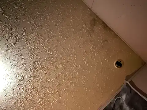 justalittlecountry87 online show from February 28, 2026, 8:08 pm