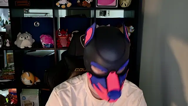 MellPUP online show from June 9, 2026, 9:38 pm