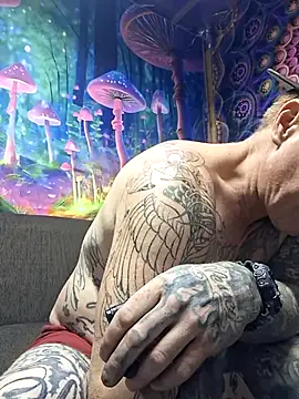 drednasty online show from April 11, 2026, 2:19 am