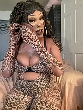 Riasvenenoo online show from May 23, 2026, 4:06 pm