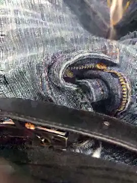 punjabicouplec2c online show from March 9, 2026, 3:04 pm