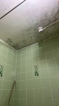 sylphiee  online show from April 8, 2026, 11:55 am