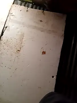 Snapshot of cuteboy023dick chatting on March 15, 2026, 1:51 pm cuteboy023dick online show from March 15, 2026, 1:51 pm