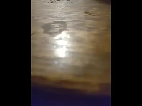 pit4296 online show from April 28, 2026, 1:04 am