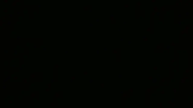 AnabeleNogueira online show from July 22, 2026, 12:40 pm