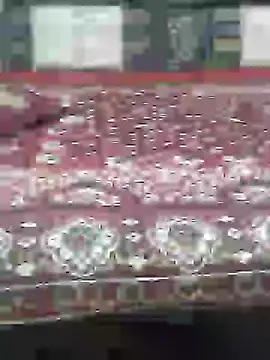 Shalini 08 online show from March 23, 2026, 8:14 am