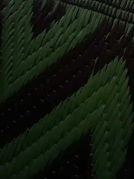 kingcouple89 online show from April 11, 2026, 7:45 am