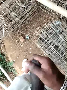 sanju 5418 online show from April 4, 2026, 6:20 am