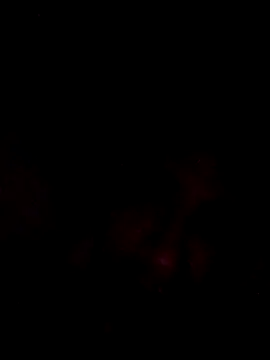 onliveme69 online show from April 8, 2026, 7:54 am