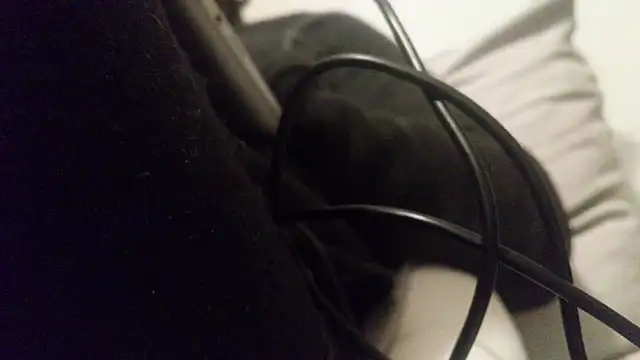 vitiligocockmasked online show from March 22, 2026, 10:11 pm